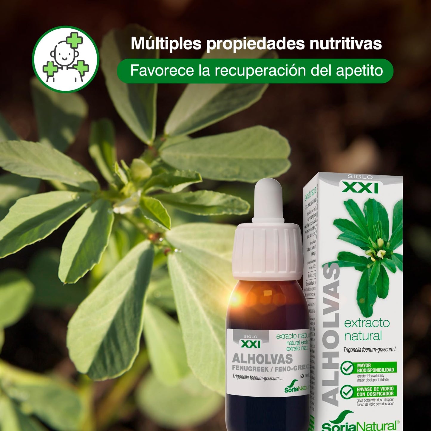 Soria Natural Alholvas Extracto - Favorece la recuperación del apetito, Favorece la Digestión, Regulación de la Glucosa en Sangre - 100% Puro - Salud del Sistema Digestivo - Botella de 50 ml