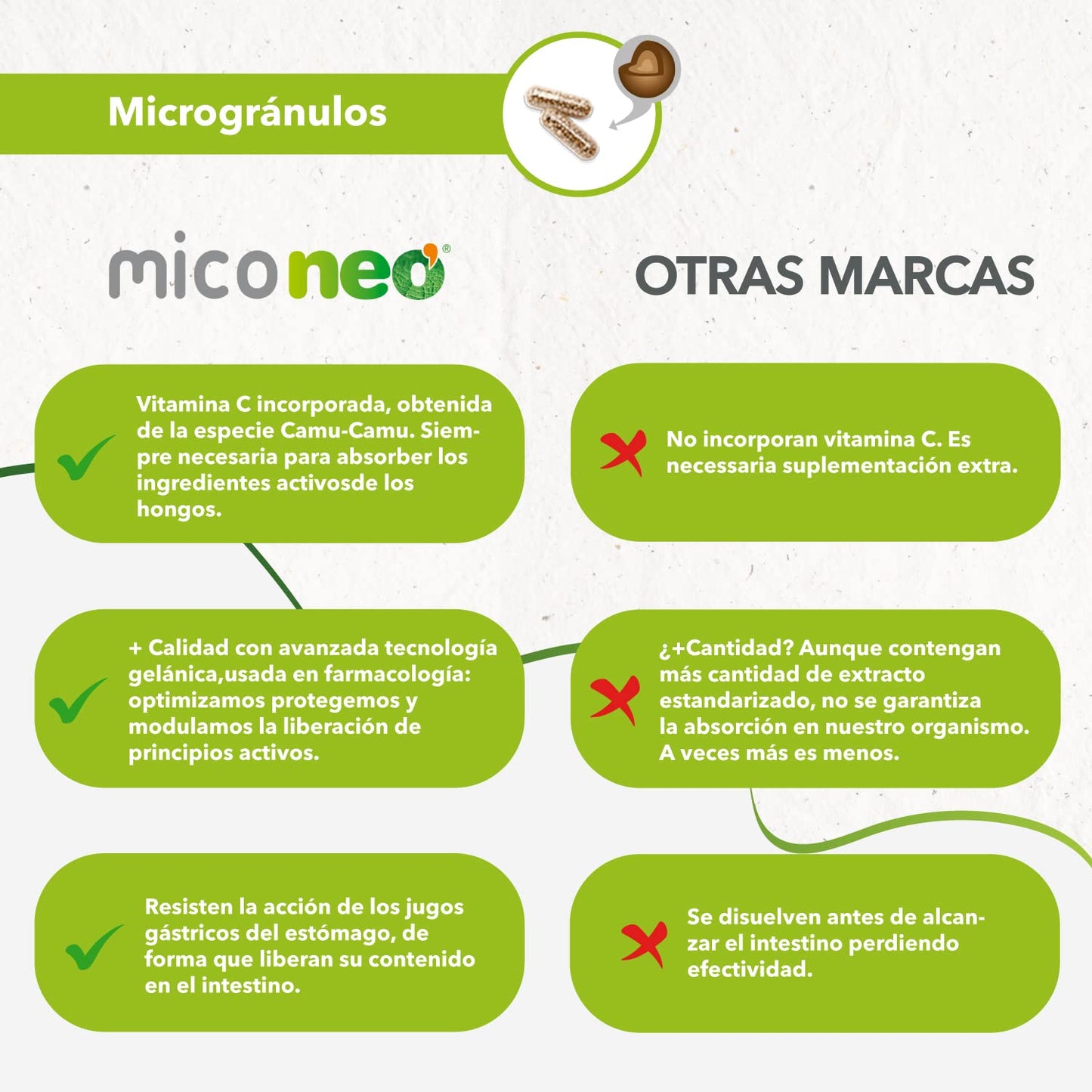 MICO NEO | INT | 60 Cápsulas | A Base de Achicoria, Shiitake, Melena de León y Seta de Cardo | Prebiótico Natural | Ayuda al Bienestar del Sistema Digestivo