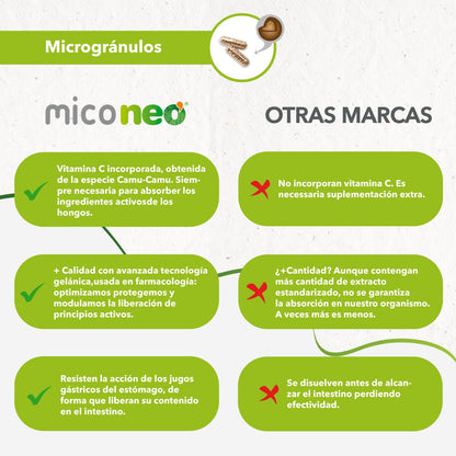 MICO NEO | NGF | 60 Cápsulas | Favorece el Rendimiento Cognitivo | Con Bacopa, Melena de león, Reishi, Cordyceps y Camu-Camu | Hongos de Agricultura Ecológica