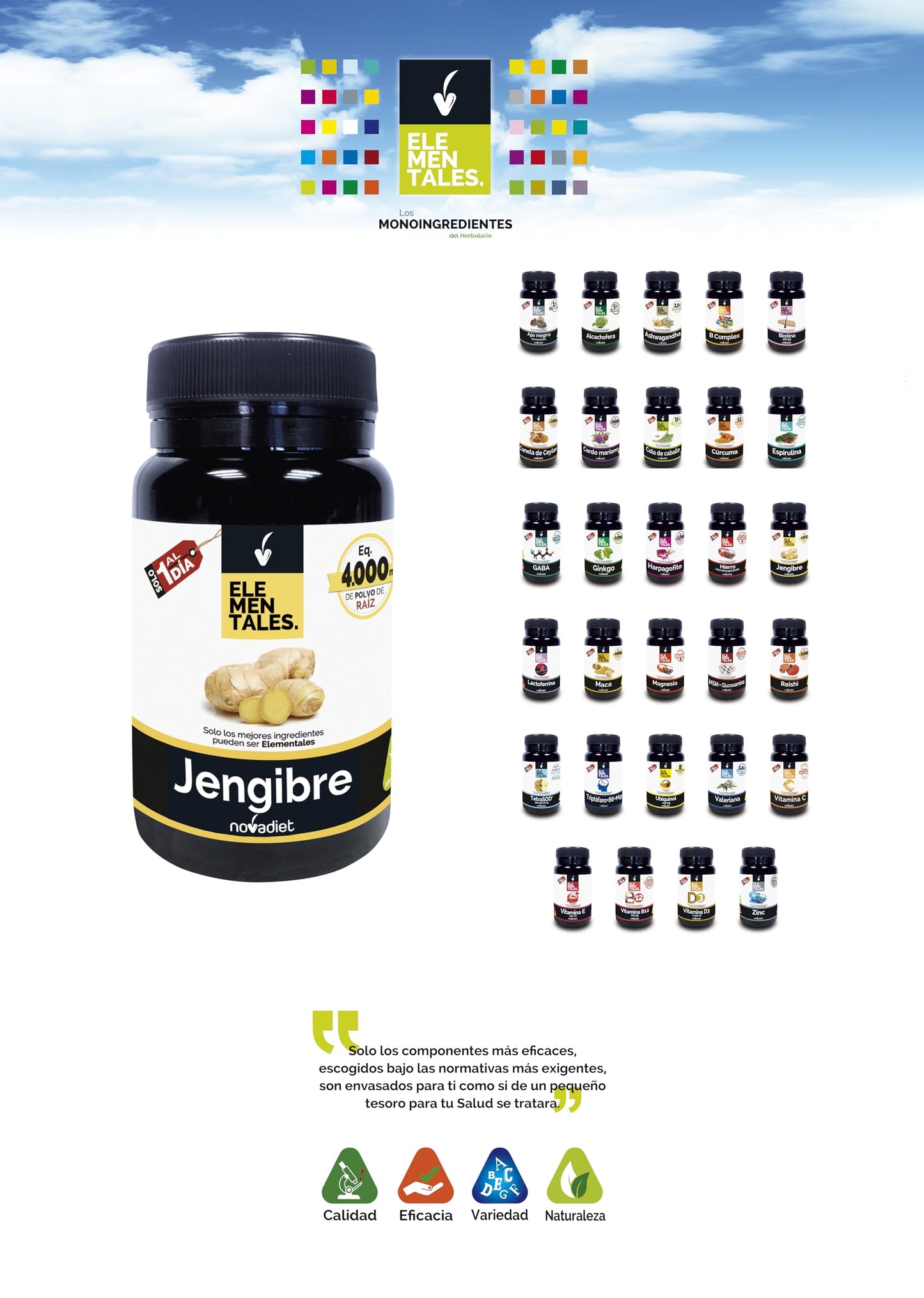 Novadiet - ELEMENTALES JENGIBRE Càpsula con Jengibre - Complemento Alimenticio Antiinflamatorio y Digestivo - Para Aliviar Digestiones Pesadas, Hinchazón y el Dolor Menstrual.- 30 Cápsulas Vegetales