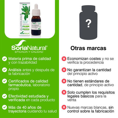 Soria Natural Alholvas Extracto - Favorece la recuperación del apetito, Favorece la Digestión, Regulación de la Glucosa en Sangre - 100% Puro - Salud del Sistema Digestivo - Botella de 50 ml