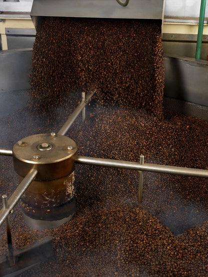 Destinatio Cafe Soluble Liofilizado Descafeinado Bio 100 Gr Paquete 100 Gramos - Cultivo Ecologico 100 ml