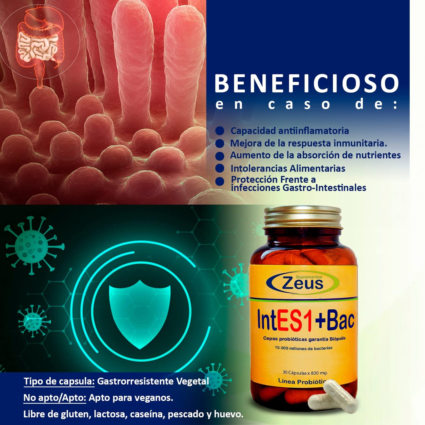 INTES1+BAC | Contribuye a equilibrar y regular la microbiota intestinal | Complemento Alimenticio a base de Fibersol®- 2, Probióticos y Almidón de patata | 100% Vegano | 30 Cápsulas Vegetales