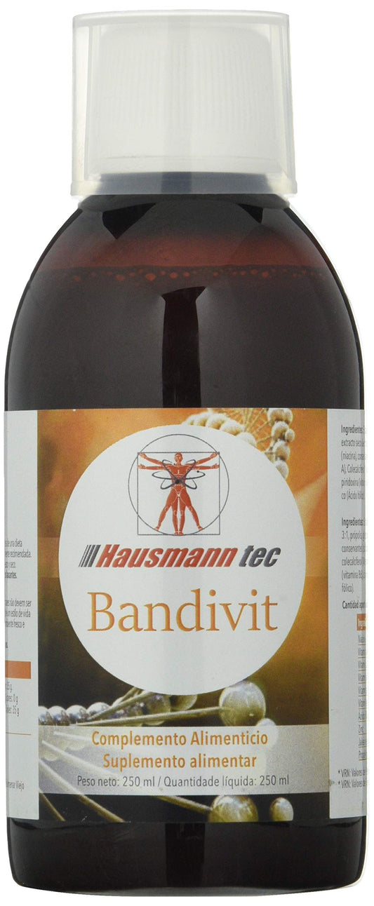 Hausmann B Bandivit Jarabe 250 Ml Envase De 250 Ml 100 ml