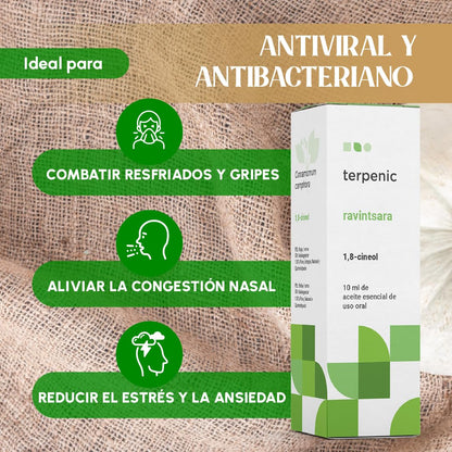 Terpenic Ravintsara Aceite Esencial | Quimiotipado | Confort Respiratorio, Fortalece Defensas Naturales, Uso en Difusor, Tópico y Oral | Bienestar Responsable para Respiración y Cuidado Integral