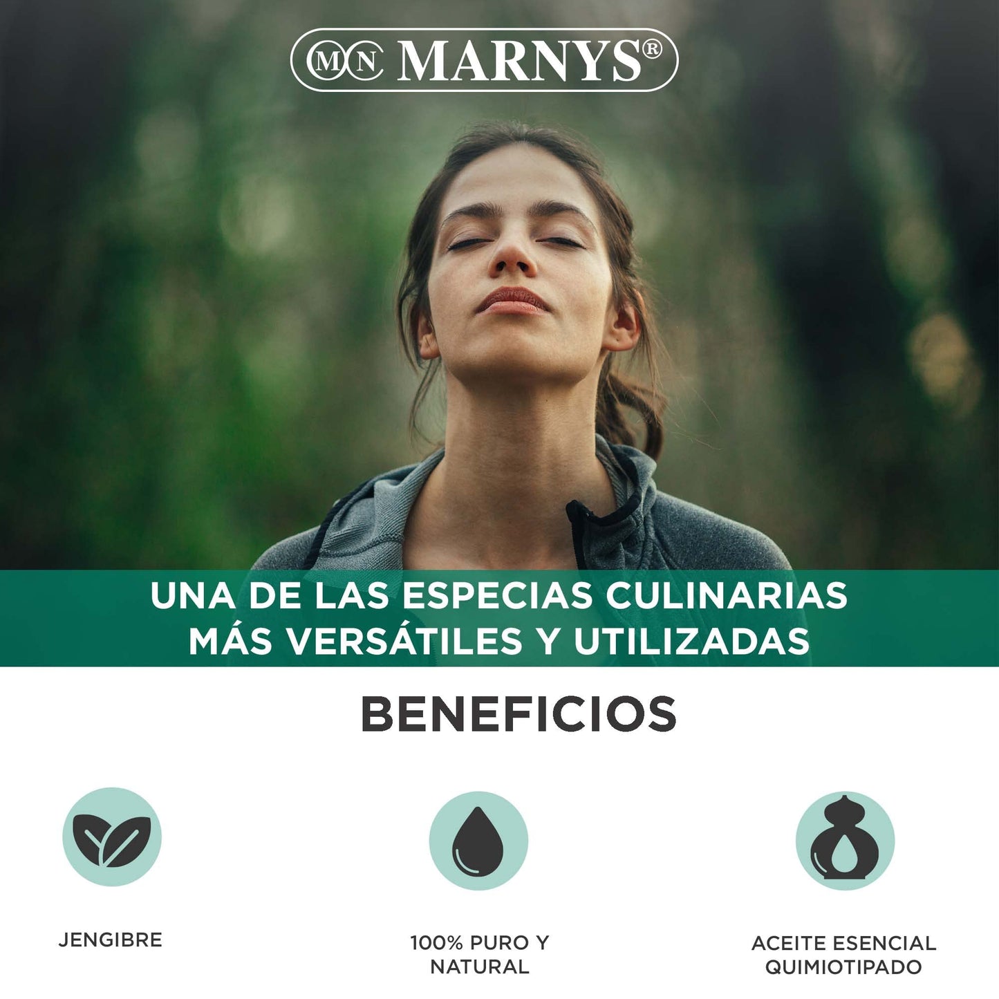 Marnys Aceite Esencial Jengibre - 100% Puro y Quimiotipado - Botella 15 ml 50 g