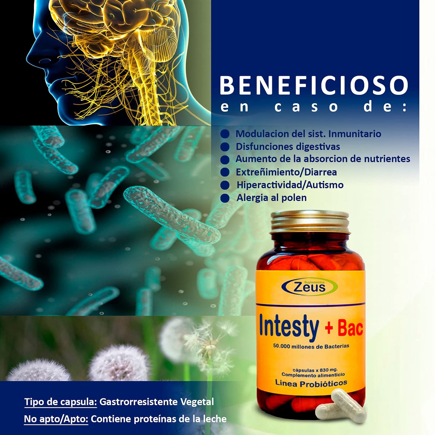 INTESTY+BAC | Contribuye a equilibrar y regular la microbiota intestinal | Complemento Alimenticio a base de Fibersol®- 2, L-Glutamina, Probióticos y Vitamina B6 | 90 Cápsulas Vegetales