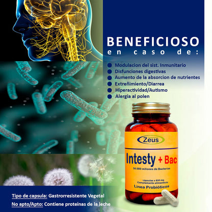 INTESTY+BAC | Contribuye a equilibrar y regular la microbiota intestinal | Complemento Alimenticio a base de Fibersol®- 2, L-Glutamina, Probióticos y Vitamina B6 | 90 Cápsulas Vegetales