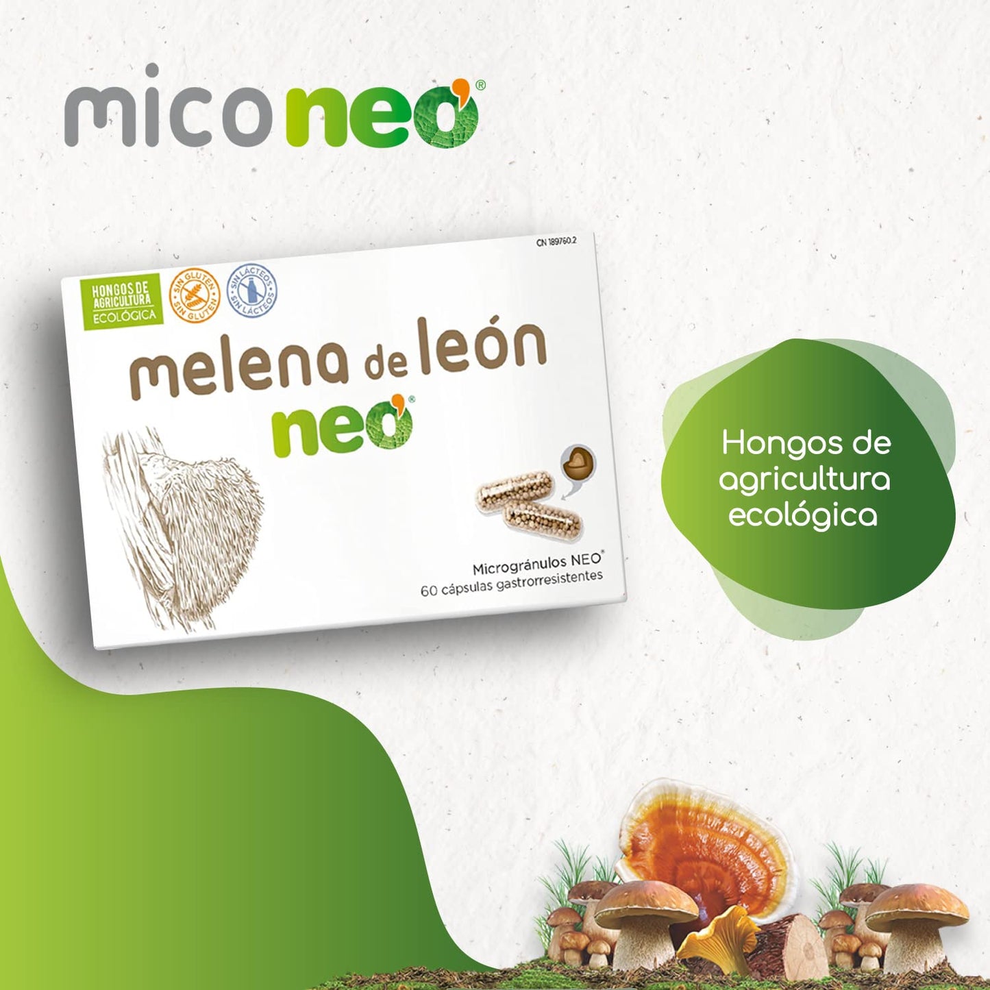 Mico NEO | Melena de León | Mejora el Bienestar Digestivo| Hongos de Agricultura Ecológica | Apto para Vegetarianos | Sin gluten ni derivados lácteos | Microgránulos NEO | 60 Cápsulas