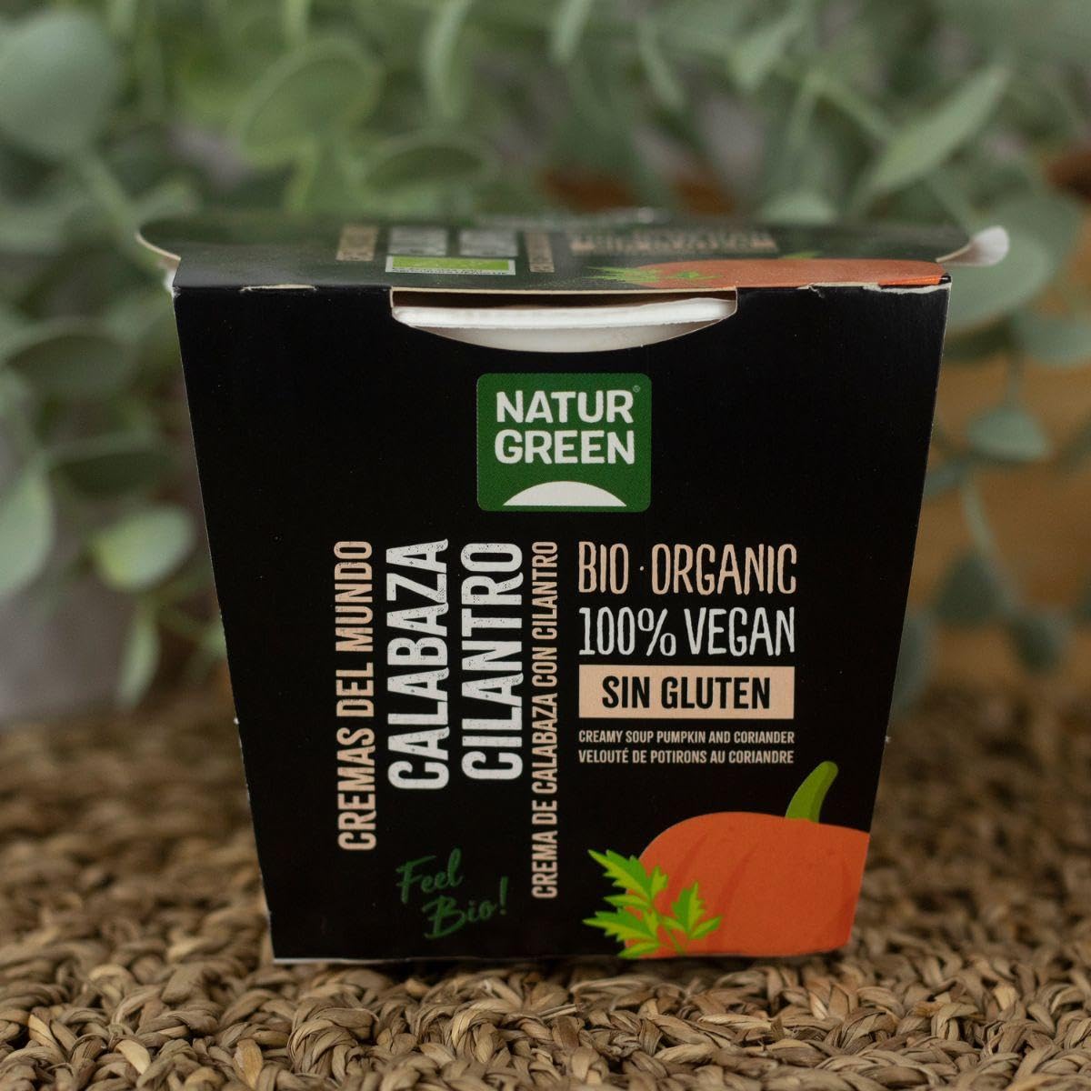 NATURGREEN CREMA CALABAZA CILANTRO 310 gr