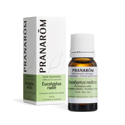 PRANARÔM - Eucalipto Radiata BIO - Aceite Esencial Quimiotipado - Vías Respiratorias - 100% Puro y Natural - HECT - 10 ml