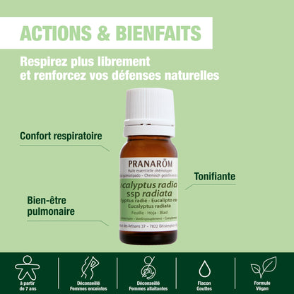 PRANARÔM - Eucalipto Radiata BIO - Aceite Esencial Quimiotipado - Vías Respiratorias - 100% Puro y Natural - HECT - 10 ml