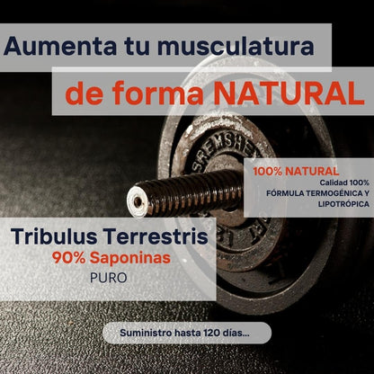Tribulus Terrestris Puro - Mega Plus Sport Nutrition - 120 Capsulas - 600 Mg - 90% Saponinas - Fuerza, Resistencia, Recuperación Muscular - Pre Entreno (171055)
