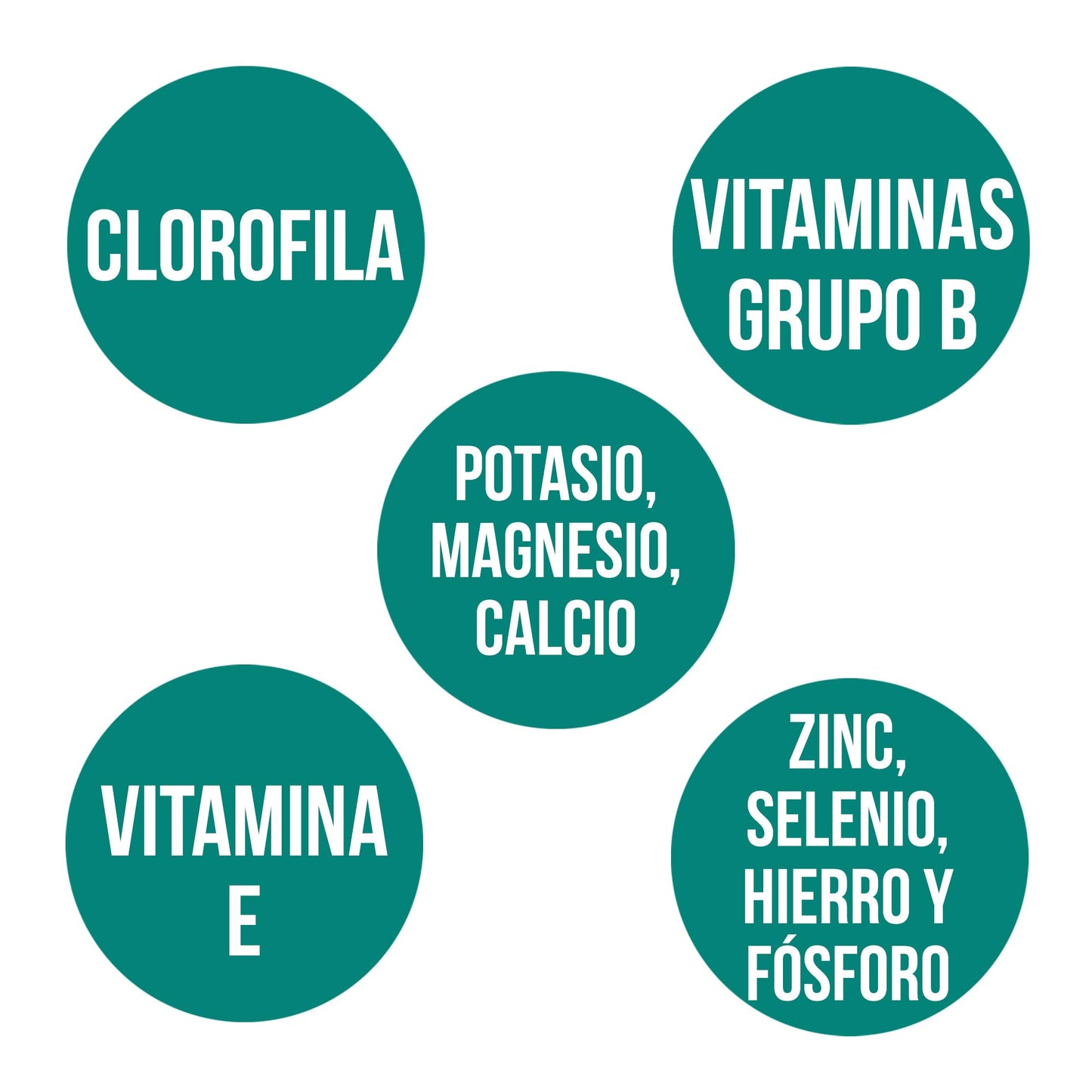 Ana Maria Lajusticia - Espirulina – 160 comprimidos fuente de proteínas, vitaminas y minerales. Detox y saciante. Apto para veganos. Envase para 26 días de tratamiento.