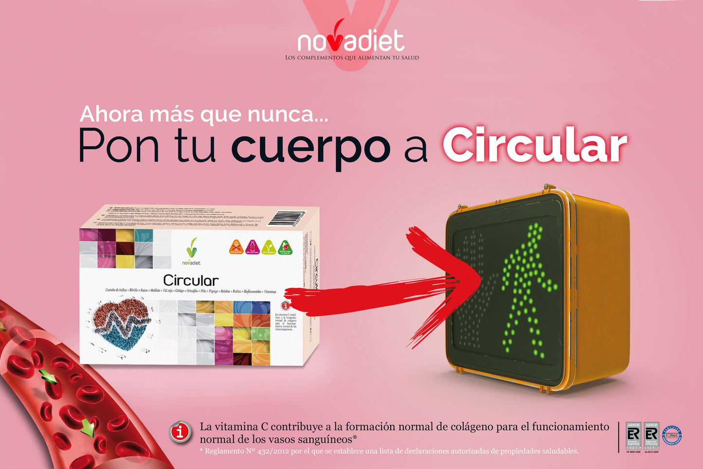 Novadiet - Circular Viales con Rusco, Rutina, Mirtilo, Castaño de Indias, Meliloto, Ginkgo, Ayuda a la Circulación Venosa, Reducir la Hinchazón, la Pesadez en Piernas Cansadas - 20 Viales