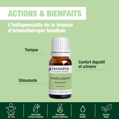 PRANARÔM - Menta piperita - Aceite esencial quimiotipado - Digestión e higiene bucal - 100% puro y natural - HETC - 10 ml