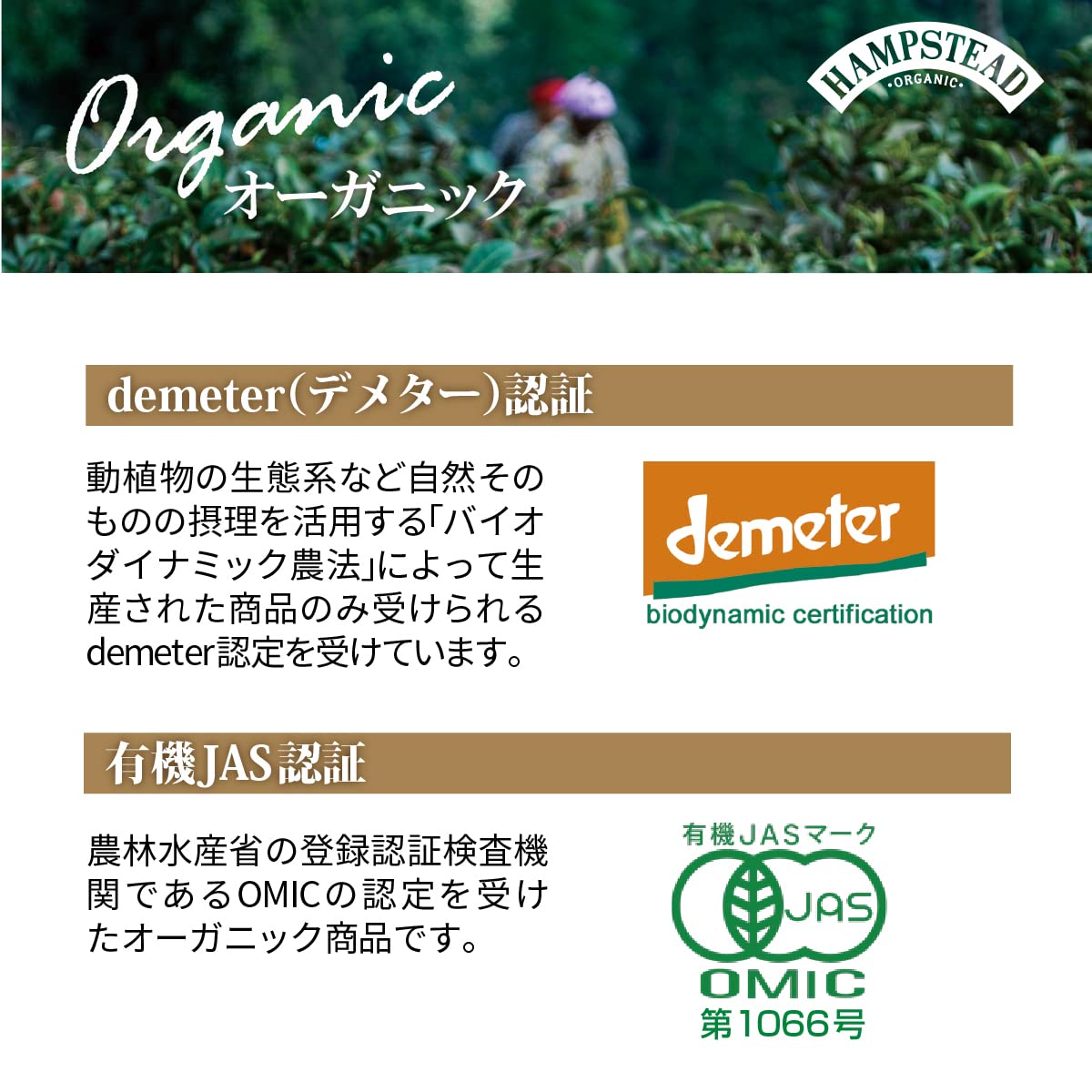Hampstead Tea London Organic Divine Earl Grey Té negro orgánico Divine Earl Grey - 1 x 20 Sachets