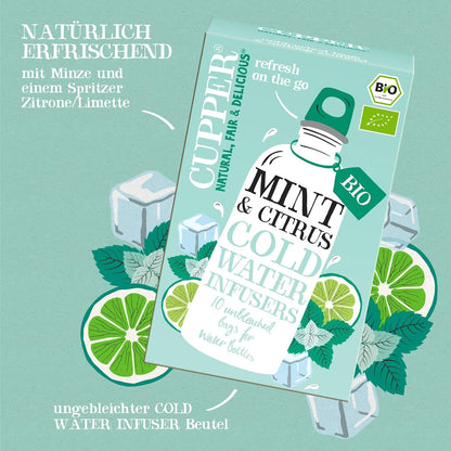 INFUSION FRIA DE MENTA Y CITRICOA BIO 10 Bolsas