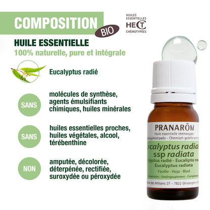 PRANARÔM - Eucalipto Radiata BIO - Aceite Esencial Quimiotipado - Vías Respiratorias - 100% Puro y Natural - HECT - 10 ml