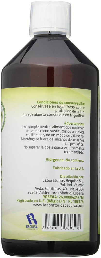 Bequisa Aloe Vera Con Pulpa 1000 ml