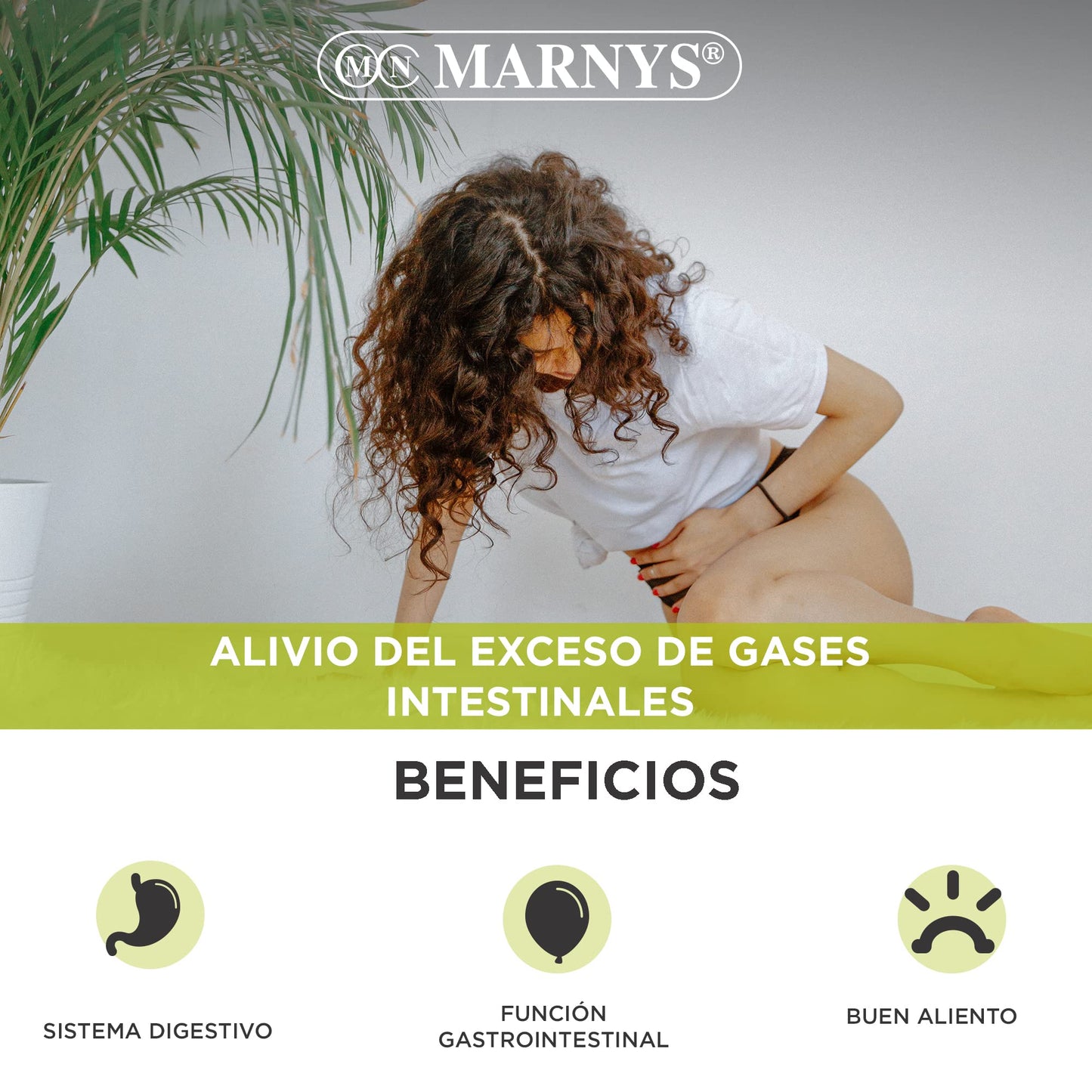 Carbón Vegetal Activo y esencias de Anís y Menta - Ayuda para Adelgazar, Para Eliminar Gases Intestinales, Alivia Hinchazón y Dolor Estomacal, Suplemento Depurativo - 60 cápsulas