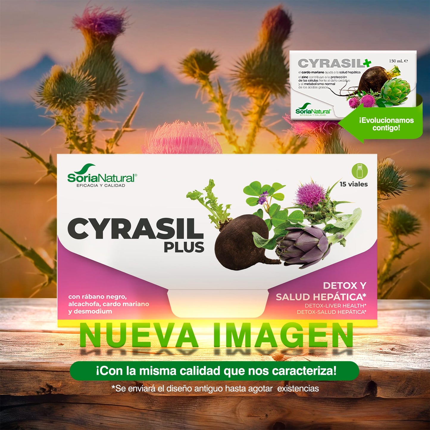 Soria Natural Cyrasil Plus - El Detox más POTENTE con Rábano Negro, Alcachofa, Cardo Mariano, Zinc y Lecitina de Soja - Depura las Toxinas, Control de Peso y Líquidos, Adelgazante - 15 viales