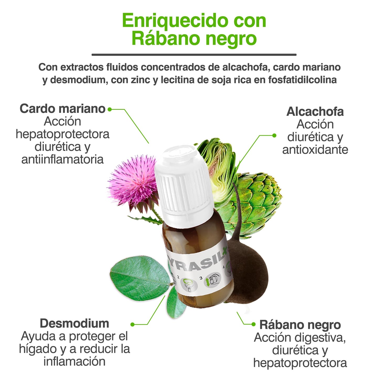 Soria Natural Cyrasil Plus - El Detox más POTENTE con Rábano Negro, Alcachofa, Cardo Mariano, Zinc y Lecitina de Soja - Depura las Toxinas, Control de Peso y Líquidos, Adelgazante - 15 viales
