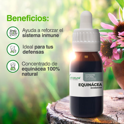 Soria Natural Extracto de Equinácea - Refuerza tus defensas de forma natural - Ayuda al sistema inmunológico - Extracto de Planta 100% Natural Alta Absorción - Botella con 50ml