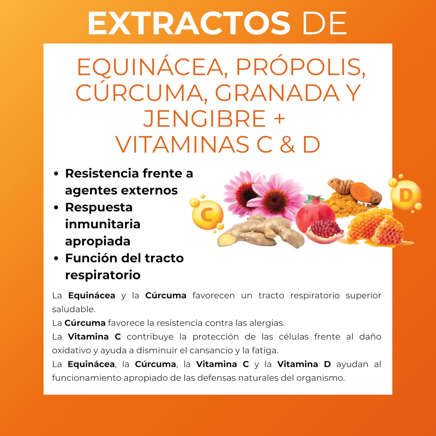 PHYTORELIEF® DEFENSE | ACTIVA TUS DEFENSAS | Con PROBIÓTICOS TINDALIZADOS | El soporte natural para activar tus defensas | 30 cápsulas