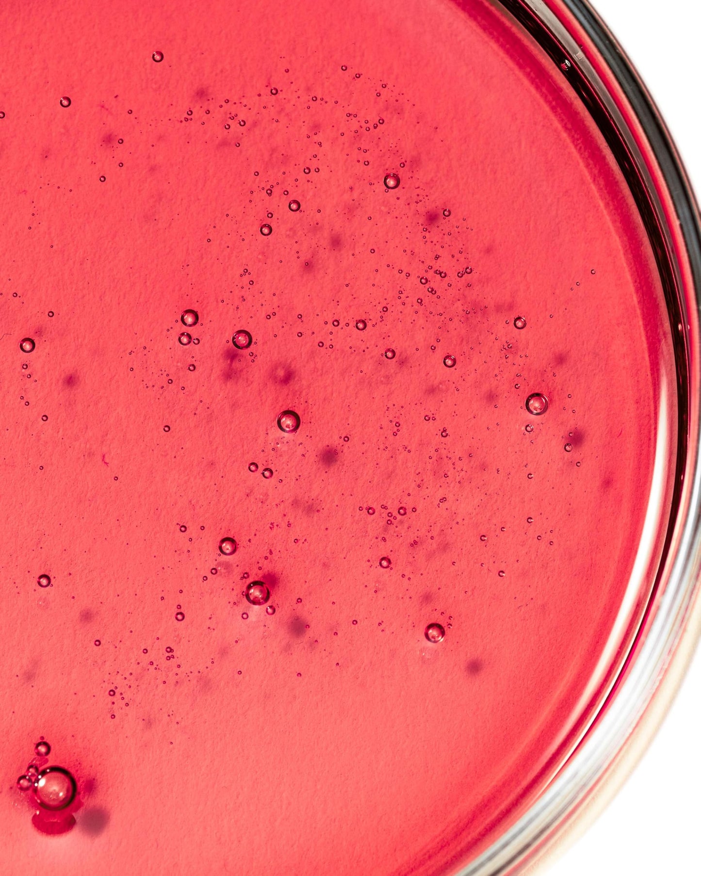 khadi STRONG AMLA Aceite capilar ayurvédico, favorece el crecimiento del cabello, previene la caída y las canas, fortalece las raíces del cabello, 100% vegano y sin siliconas, cosmética natural, 50ml