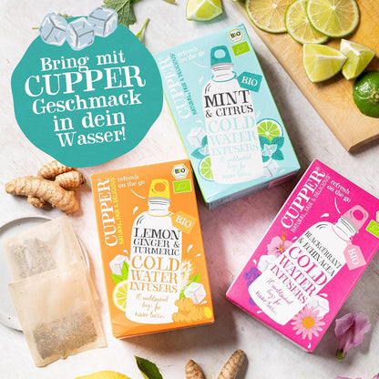 INFUSION FRIA DE MENTA Y CITRICOA BIO 10 Bolsas