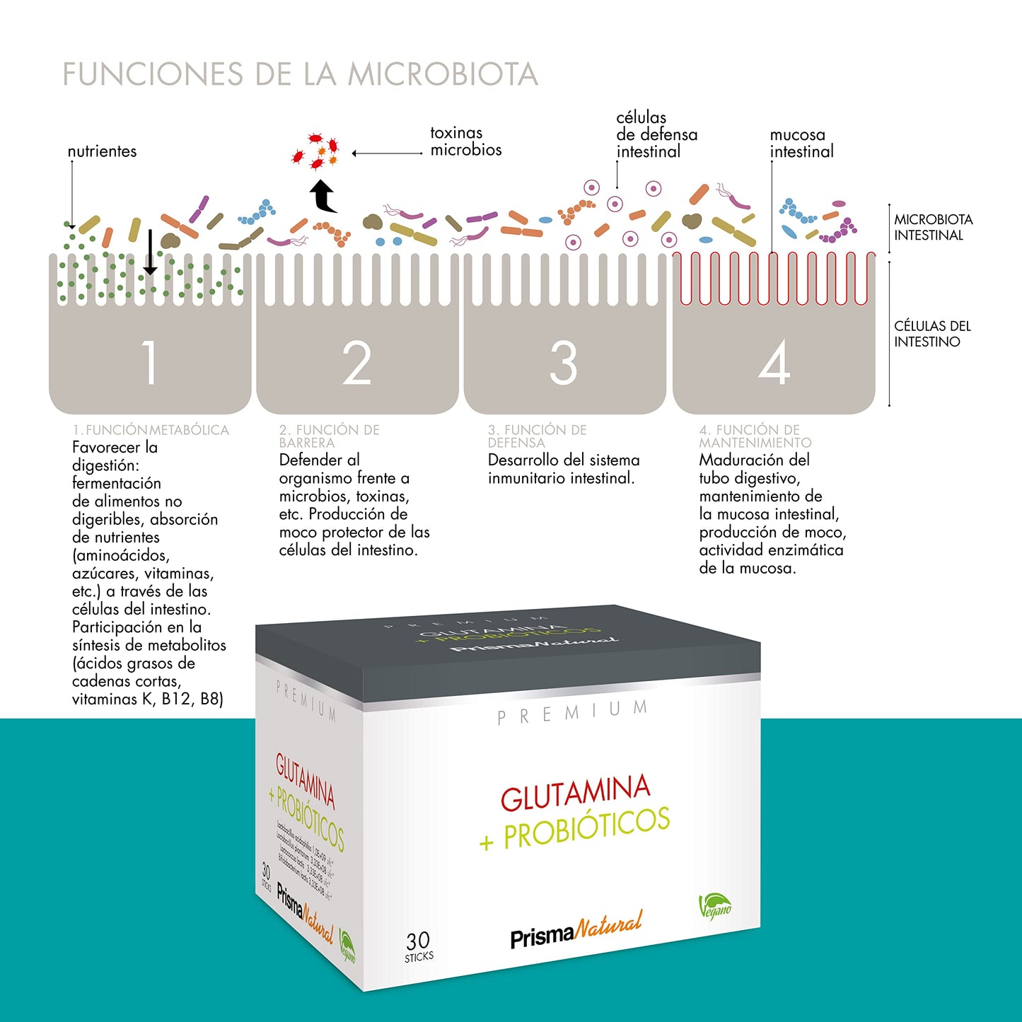 Prisma Natural línea Premium, Glutamina + Probiotico 30 sticks 200g. Son productos aptos para celíacos, intolerantes a la lactosa o sensibles a proteínas lácteas o gluten.