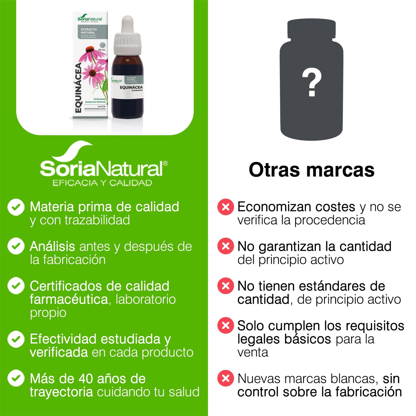 Soria Natural Extracto de Equinácea - Refuerza tus defensas de forma natural - Ayuda al sistema inmunológico - Extracto de Planta 100% Natural Alta Absorción - Botella con 50ml