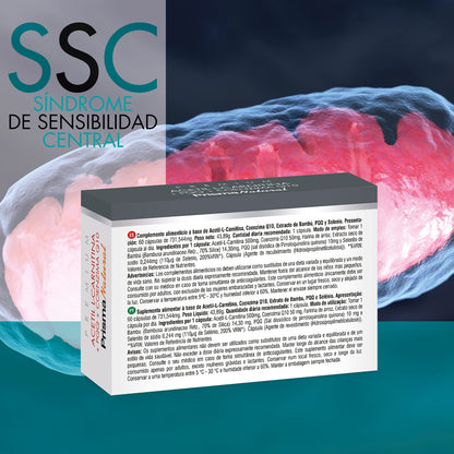 Prisma Natural Acetil L-Carnitina+Ppq+Q10 60Cap, 731.544mg