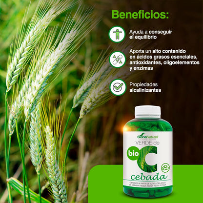 Soria Natural Complemento Alimenticio - 240 Cápsulas