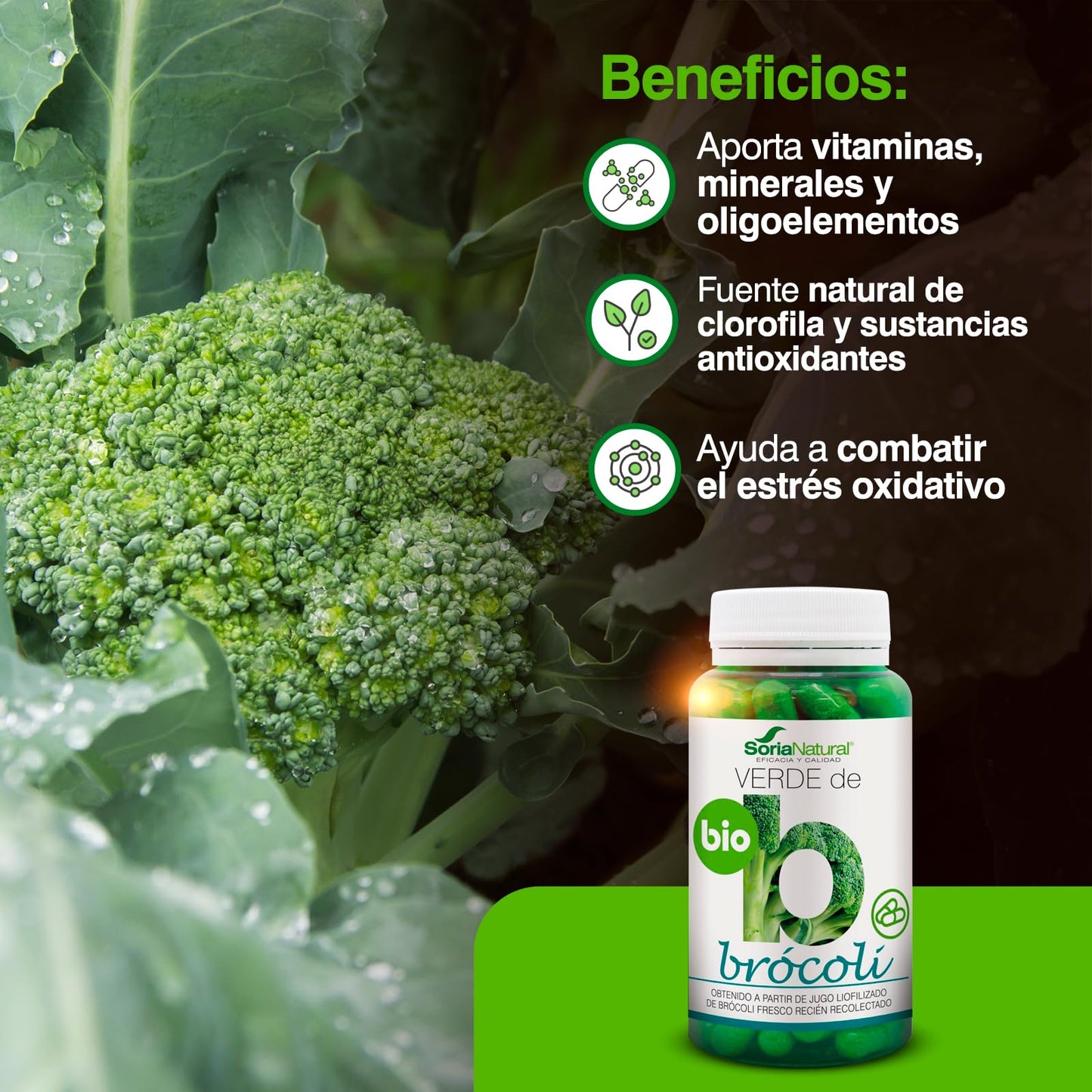 Soria Natural Verde de Brócoli - Fuente Rica en Vitaminas, Minerales y Oligoelementos - Propiedades Antioxidante y Detoxificante - Ayuda a Combatir el Estrés Oxidativo - 80 cápsulas de 580 mg.