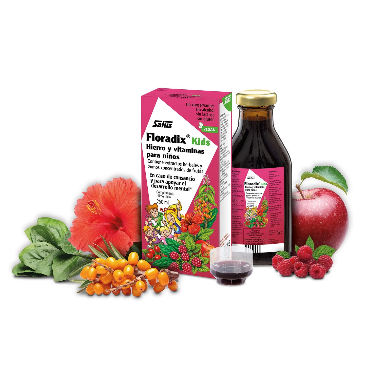 Salus - Floradix Kids Suplemento de Hierro - 250 ml - Reduce el Cansancio y la Fatiga - Contiene Hierro y Vitaminas B1, B2, B6, B12 y C - Apoya el Desarrollo Mental y la Función Cognitiva