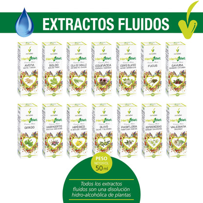 HERBODIET GINKGO 50 ml