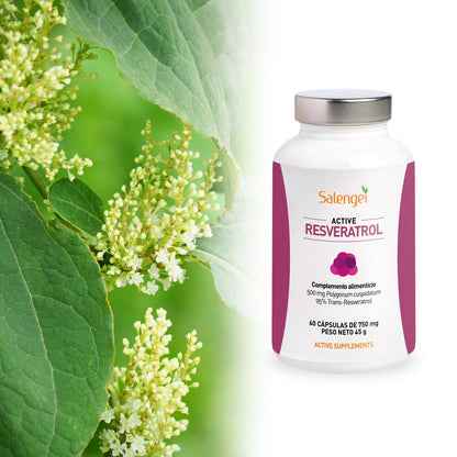 ACTIVE RESVERATROL - Trans Resveratrol 95%. MAXIMA PUREZA, RESVERATROL DE FUENTE NATURAL | Antioxidante | Propiedades anti edad | Polygonum cuspidatum |60 cápsulas de 500 mg |