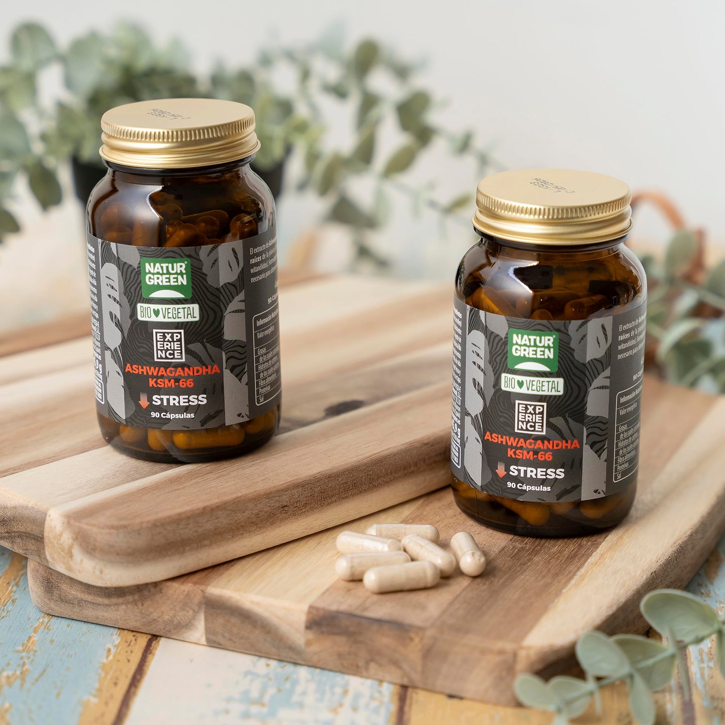 NaturGreen Experience - Ashwagandha KSM-66, Complemento Alimenticio para la Memoria, Cápsulas Memory, Capacidad Cognitiva y Psicológica, Complemento Natural, Sin Gluten - 90 Cápsulas
