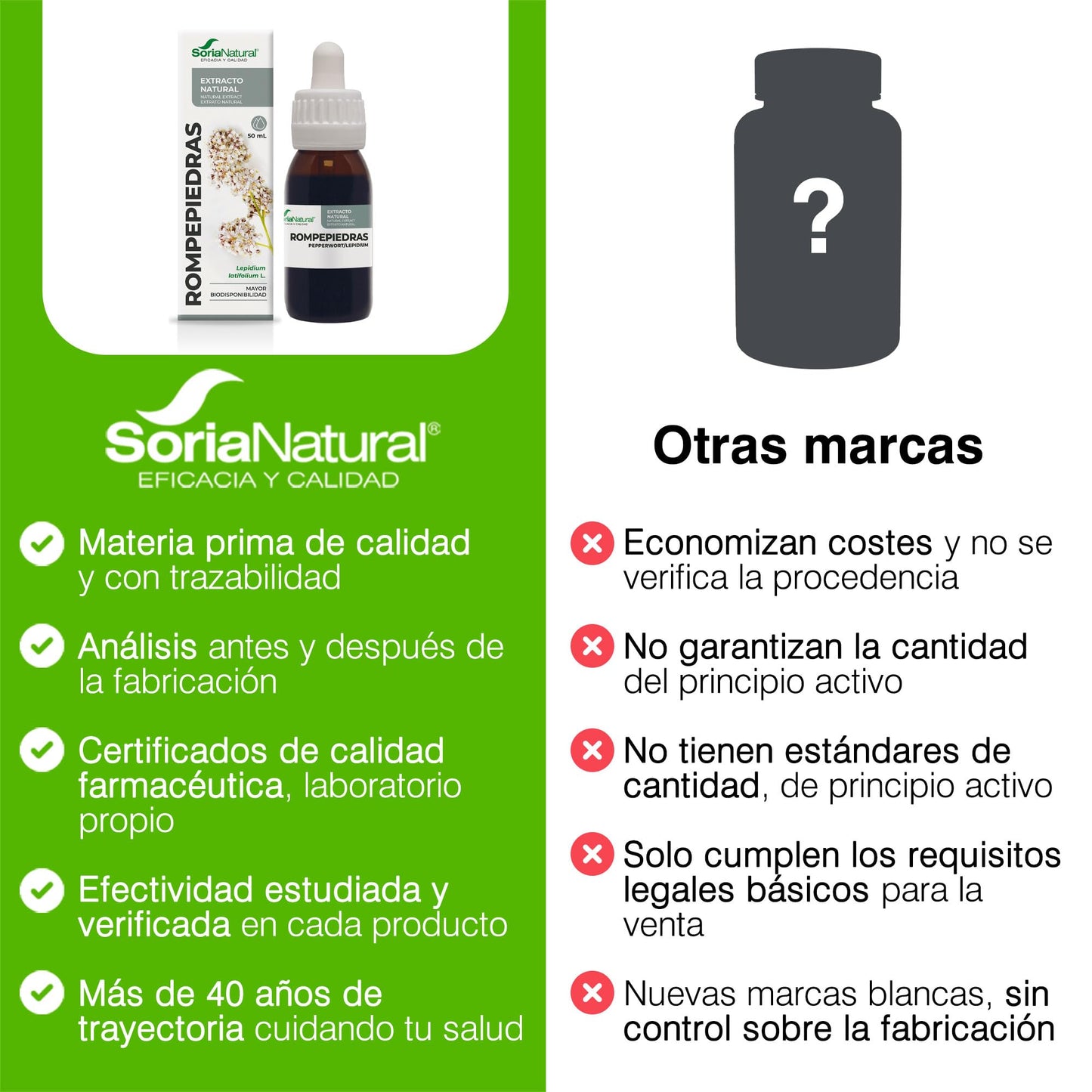 Soria Natural Rompepiedras Extracto - Diurético Natural - Apoya la Función Renal, Ayuda a Prevenir y Tratar Cálculos Renales - 100% Puro - Suplemento para la Salud del Riñón -