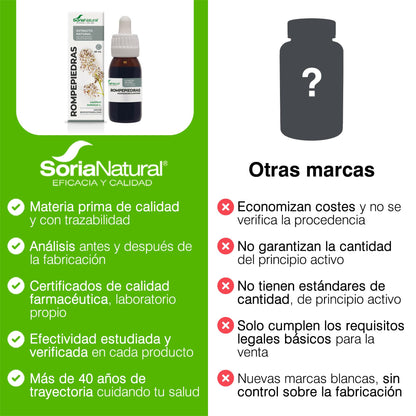 Soria Natural Rompepiedras Extracto - Diurético Natural - Apoya la Función Renal, Ayuda a Prevenir y Tratar Cálculos Renales - 100% Puro - Suplemento para la Salud del Riñón -
