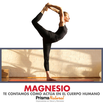 Prisma Natural Premium Magnesio - 60 capsulas. Cansancio, fatiga, huesos, musculos y articulaciones. Complementos y vitaminas para adultos. Sin gluten. Sin lactosa.Sin pescado, Sin huevo. Vegano.