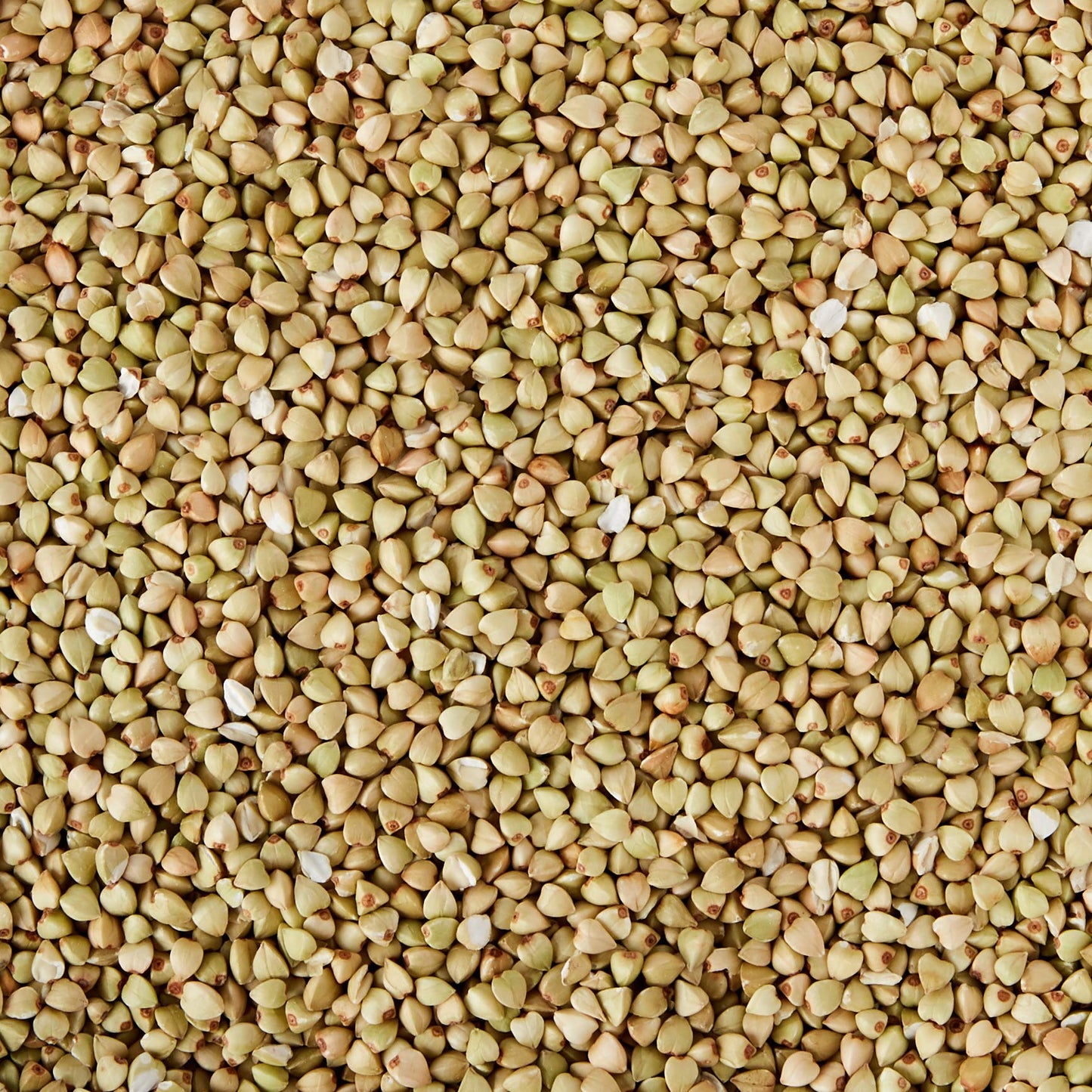 GRANERO INTEGRAL - Trigo Sarraceno Bio, 500 g