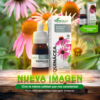 Soria Natural Extracto de Equinácea - Refuerza tus defensas de forma natural - Ayuda al sistema inmunológico - Extracto de Planta 100% Natural Alta Absorción - Botella con 50ml