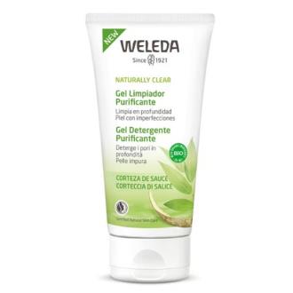 GEL LIMPIADOR PURIFICANTE 100 ml.
