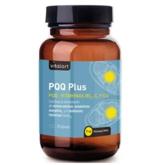 VITALART PQQ PLUS 30 cap.