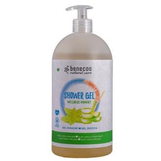 GEL BAÑO FAMILIAR WELLNESS MOMENST aloe-melisa 950 ml