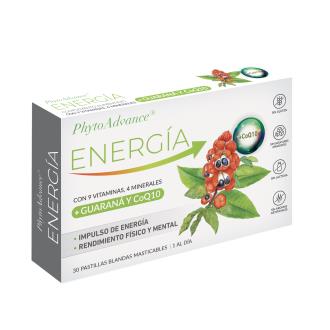 PHYTOADVANCE ENERGIA 30 past blandas mastic