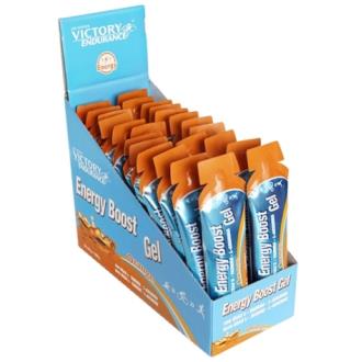 UD.PROTEIN DRINK  VAINILLA 500 ml